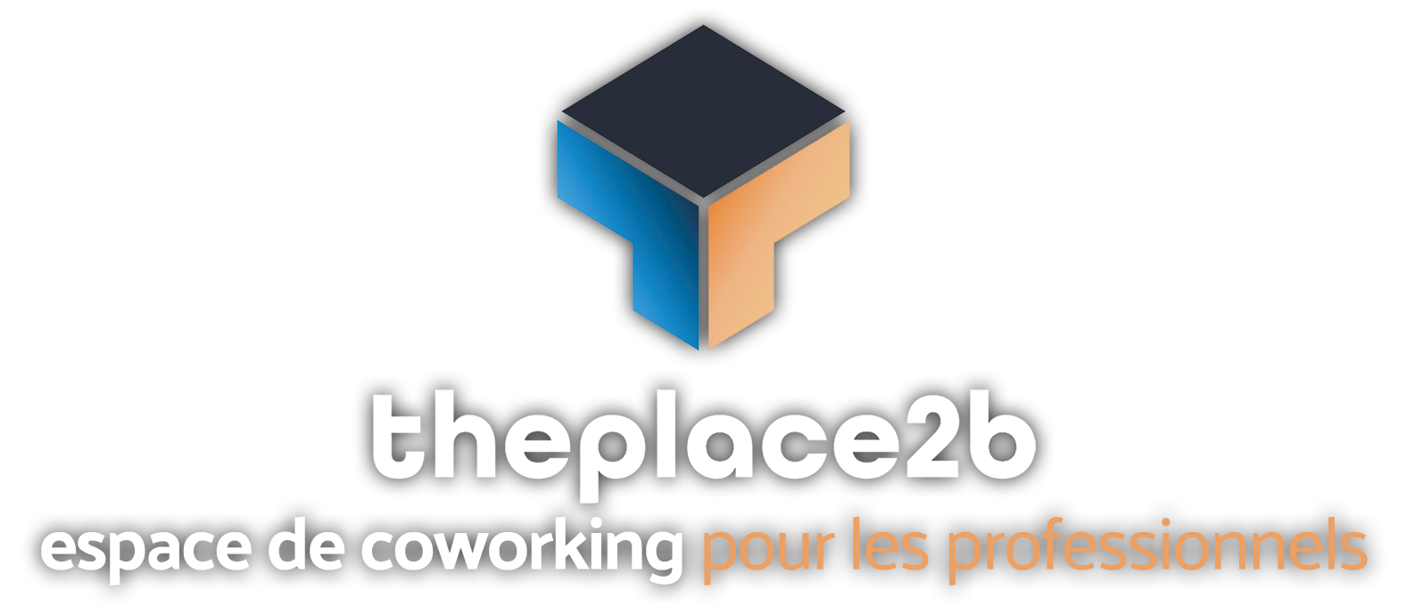 Logo The Place 2B